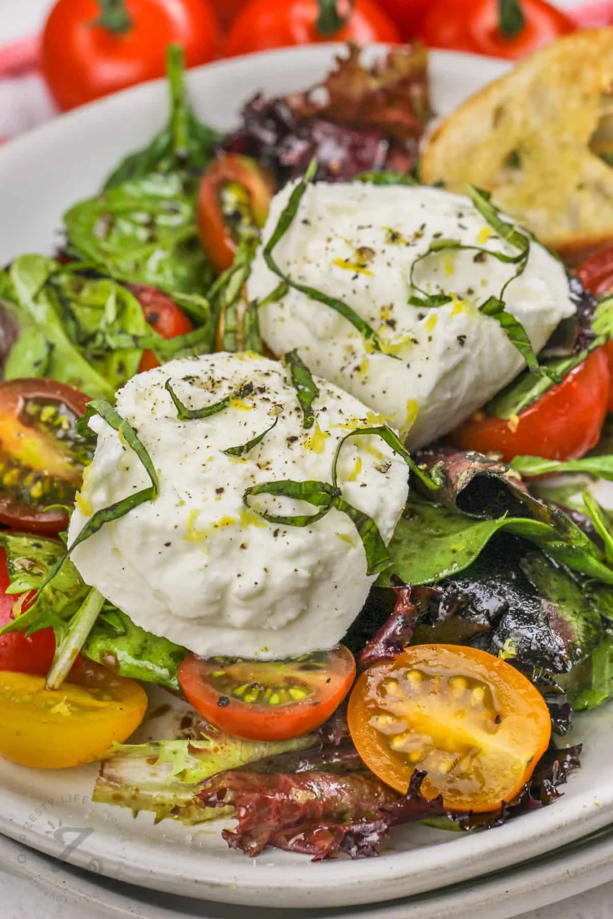Nghệ Thuật Kết Hợp Vang Trắng & Vang Hồng Cùng Salad Tươi & Phô Mai Burrata