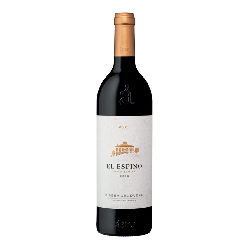 Aster El Espino