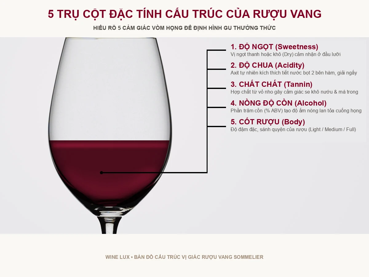 5 đặc tính cốt lõi cấu thành rượu vang