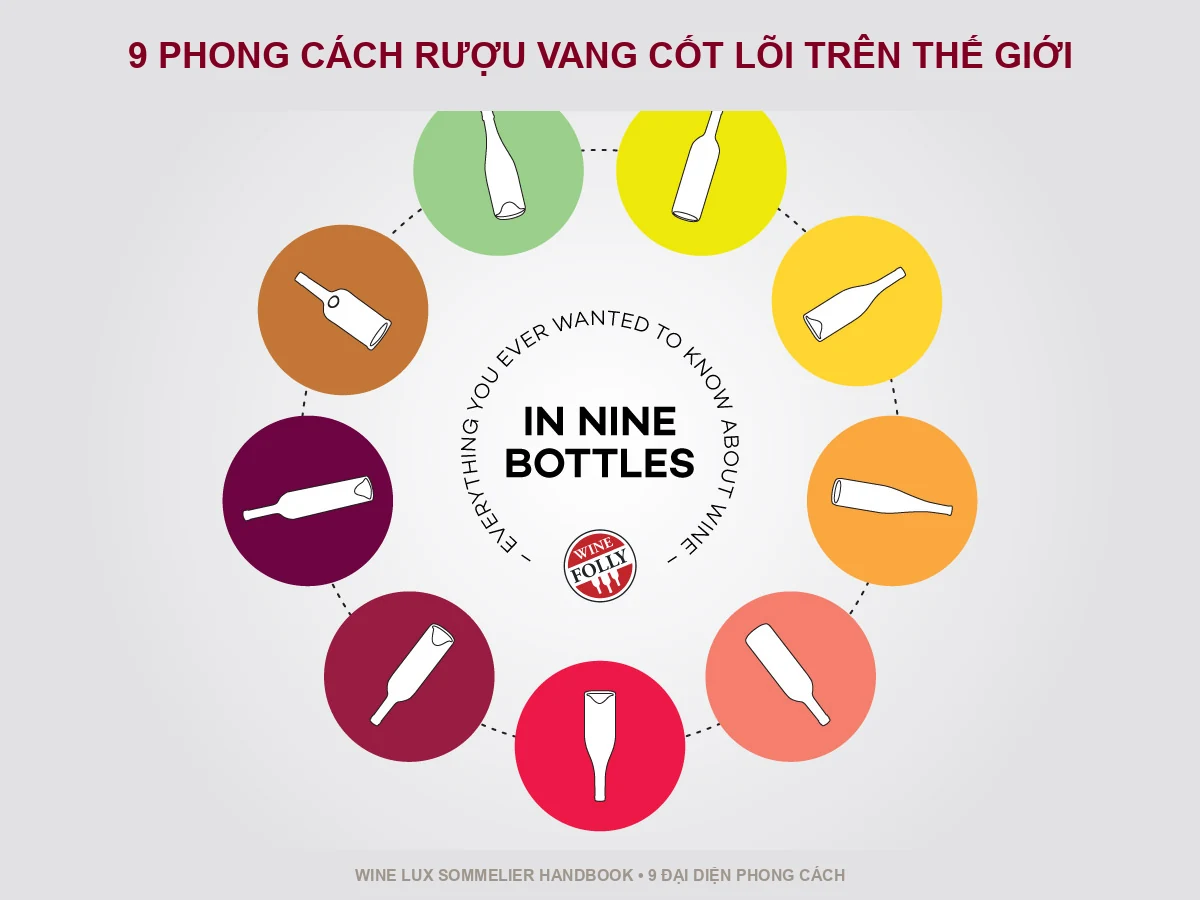 9 Phong cách rượu vang định hình bản đồ thế giới