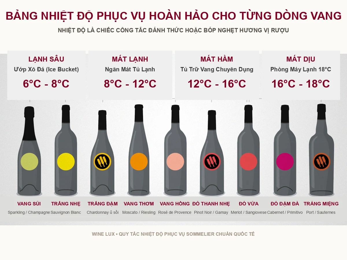 Bảng nhiệt độ phục vụ rượu vang chuẩn xác từ Sommelier