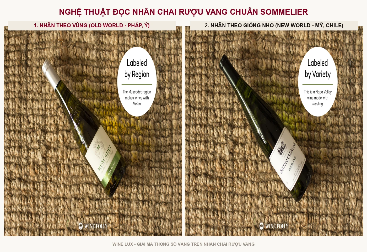 Hướng dẫn giải mã nhãn chai rượu vang theo giống nho và vùng xuất xứ