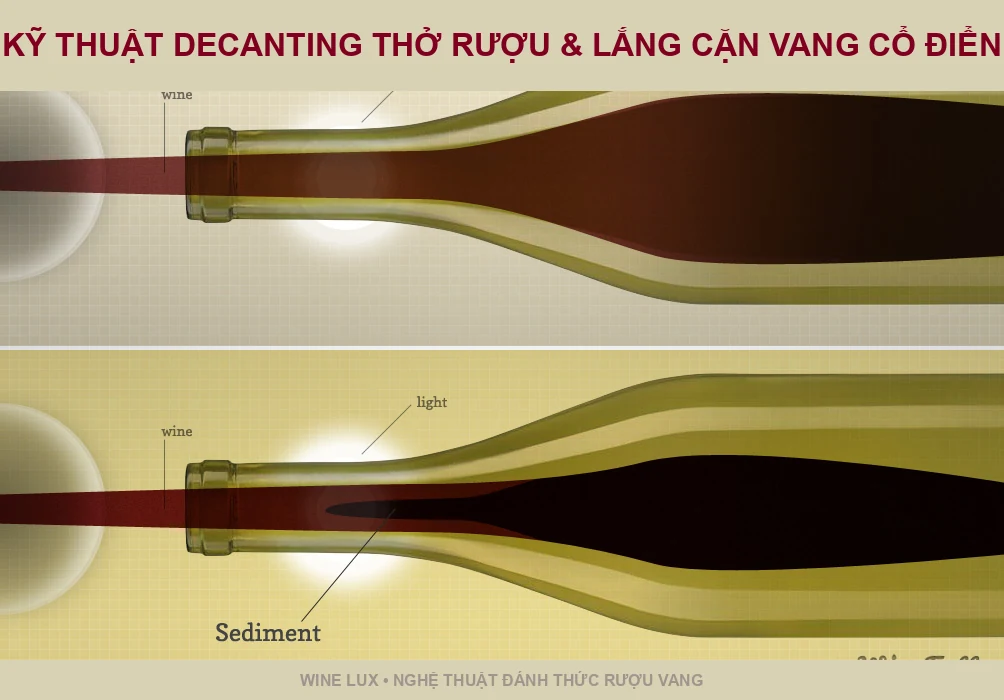 Hướng dẫn khi nào cần decant thở rượu vang và lắng cặn