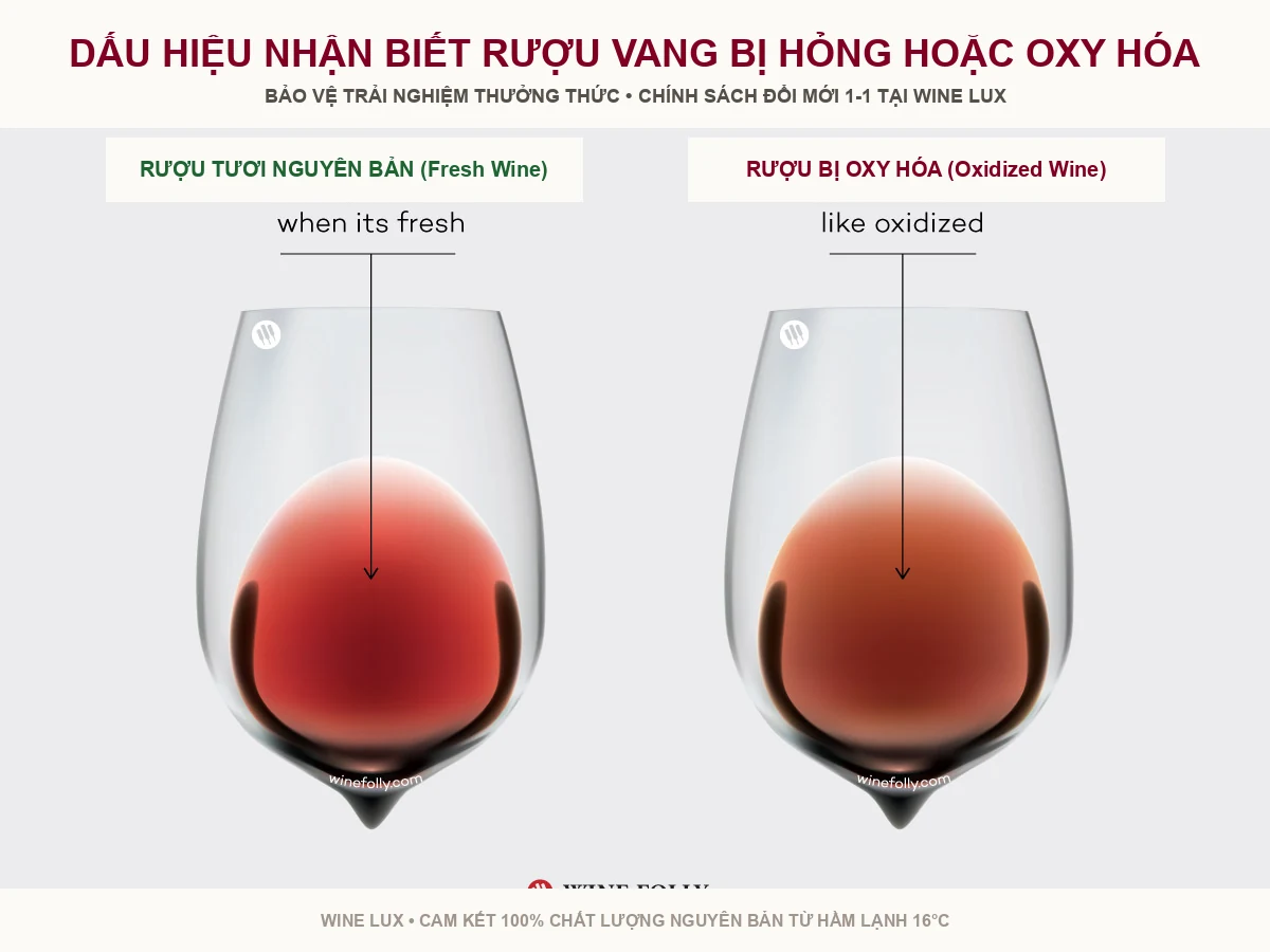 Nhận biết rượu vang bị hỏng do oxy hóa hoặc lỗi nút bần