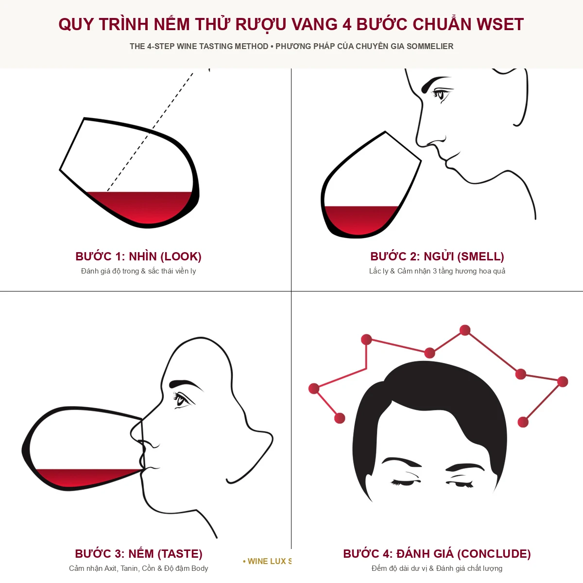 Quy trình nếm rượu vang 4 bước chuẩn Sommelier quốc tế