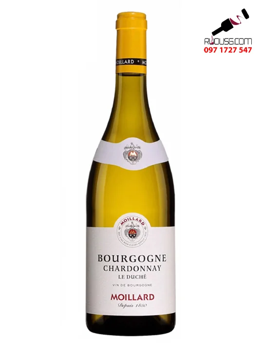 Rượu vang Pháp Bourgogne Chardonnay 2020