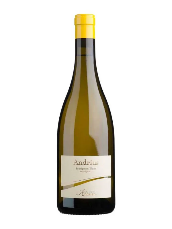 Rượu vang Ý Cantina Terlano Andrius Sauvignon Blanc