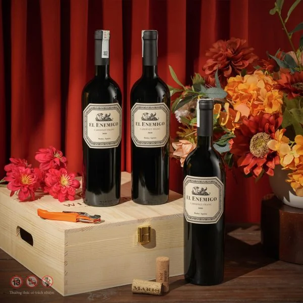 Rượu Vang Argentina El Enemigo Cabernet Franc 2020 ảnh 2