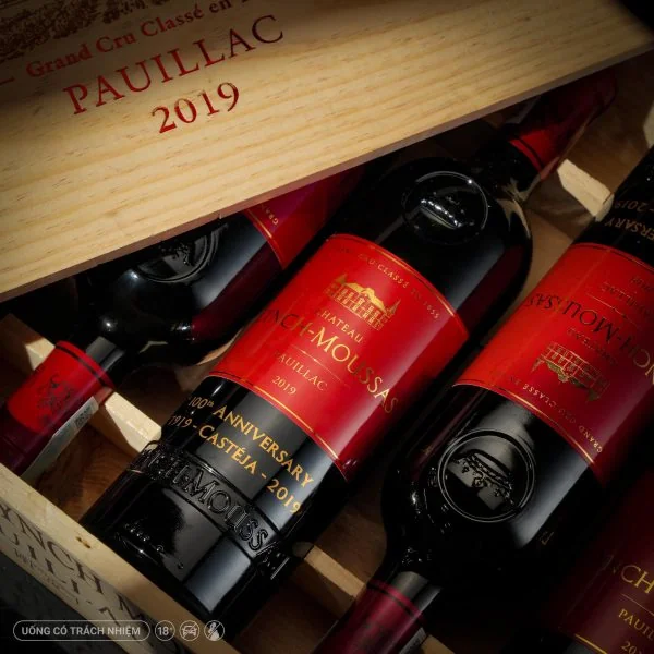 Rượu Vang Pháp Château Lynch Moussas 2019 1.5L ảnh 2