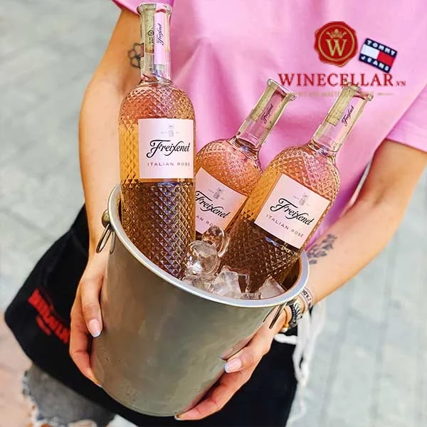 Rượu Vang Hồng Freixenet Rosato Veneto ảnh 4